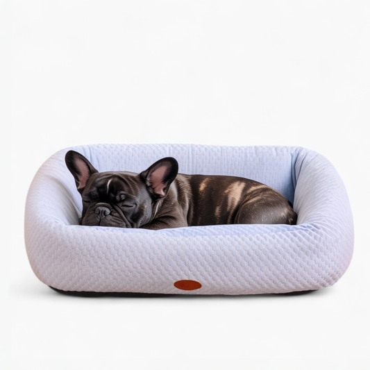 french-bulldog-sleeping-bed.jpg