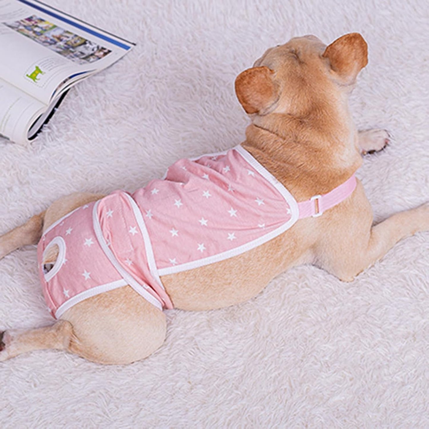 french bulldog Diaper pants