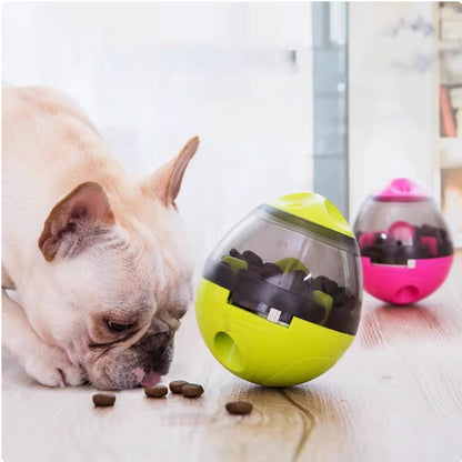 French bullldog iq treat ball