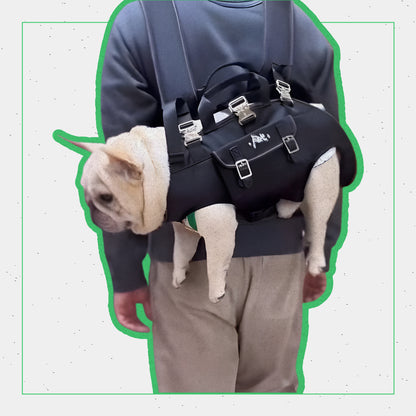 french bulldog carrypaw frenchie shop