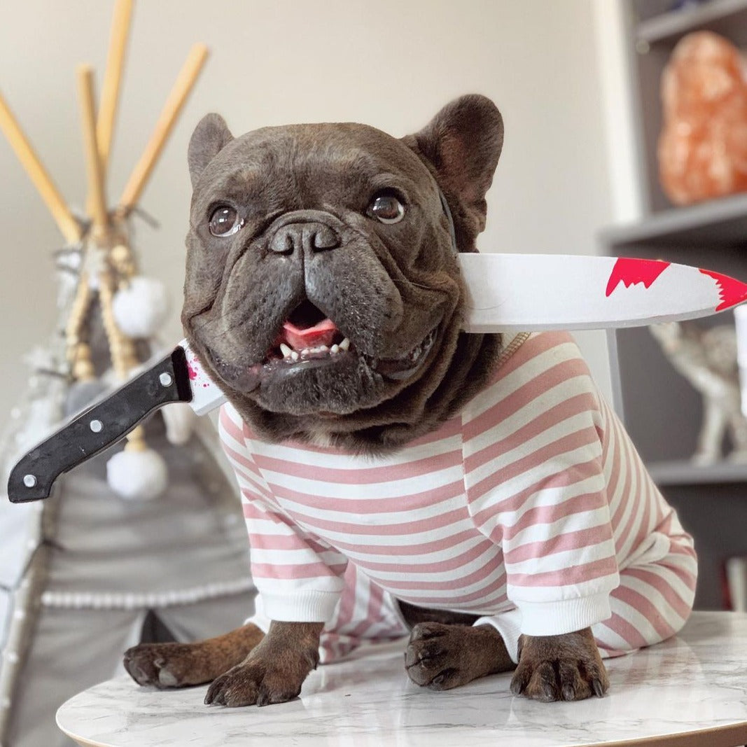 french bulldog costumes for halloween