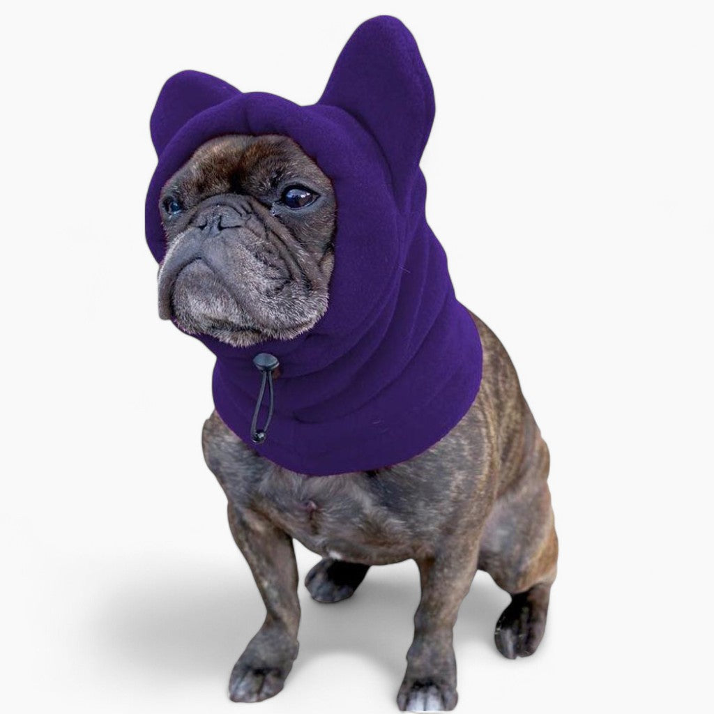 french bulldog hat