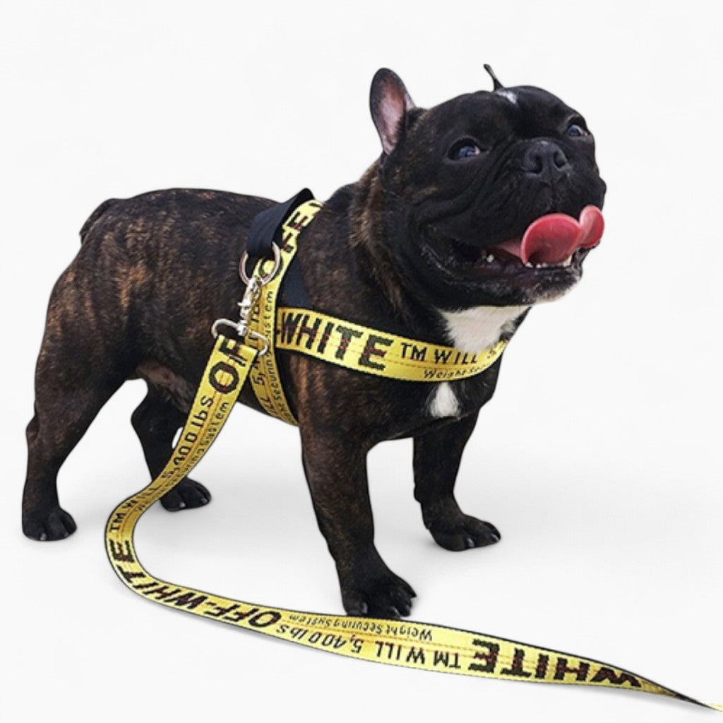 french bulldog leash