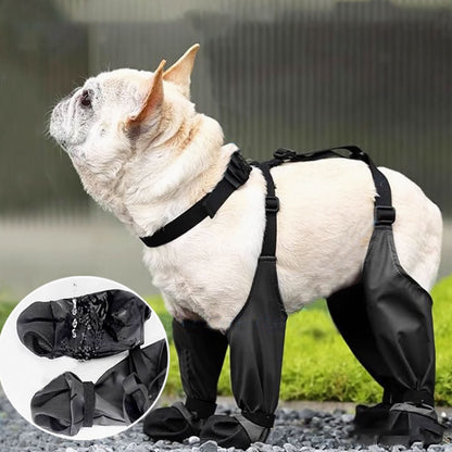 french bulldog pawguard 