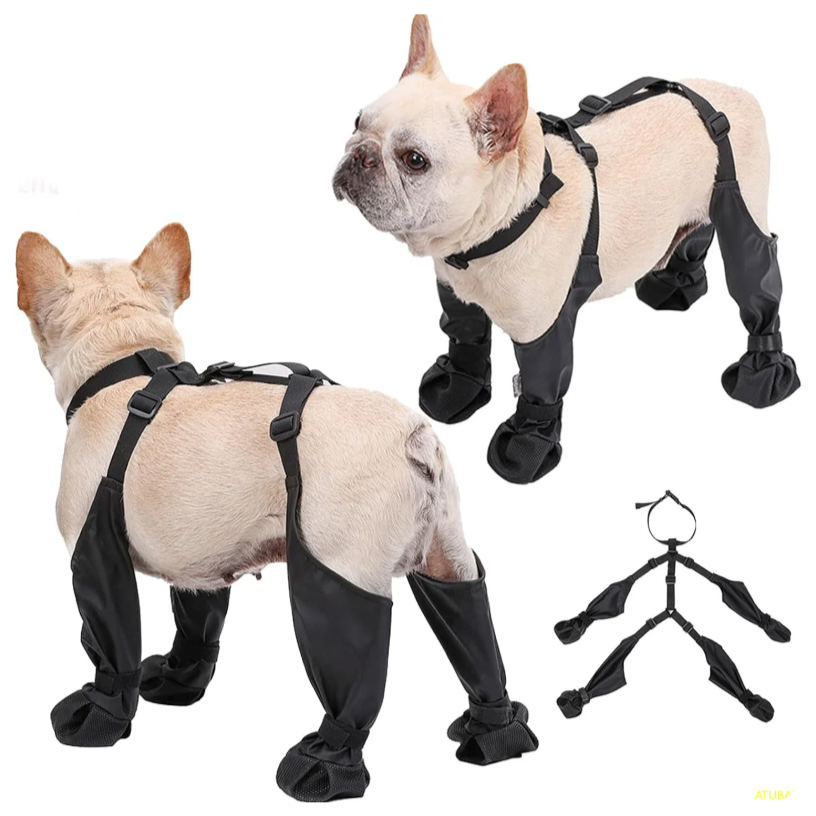 french bulldog paws protector