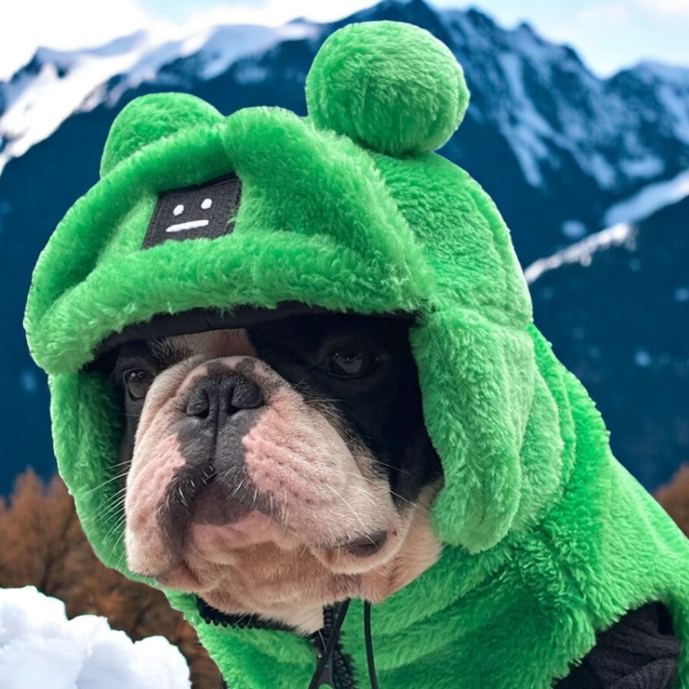 french bulldog winter hat