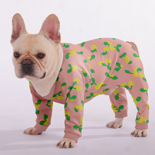 Luna - Frenchie Pajama