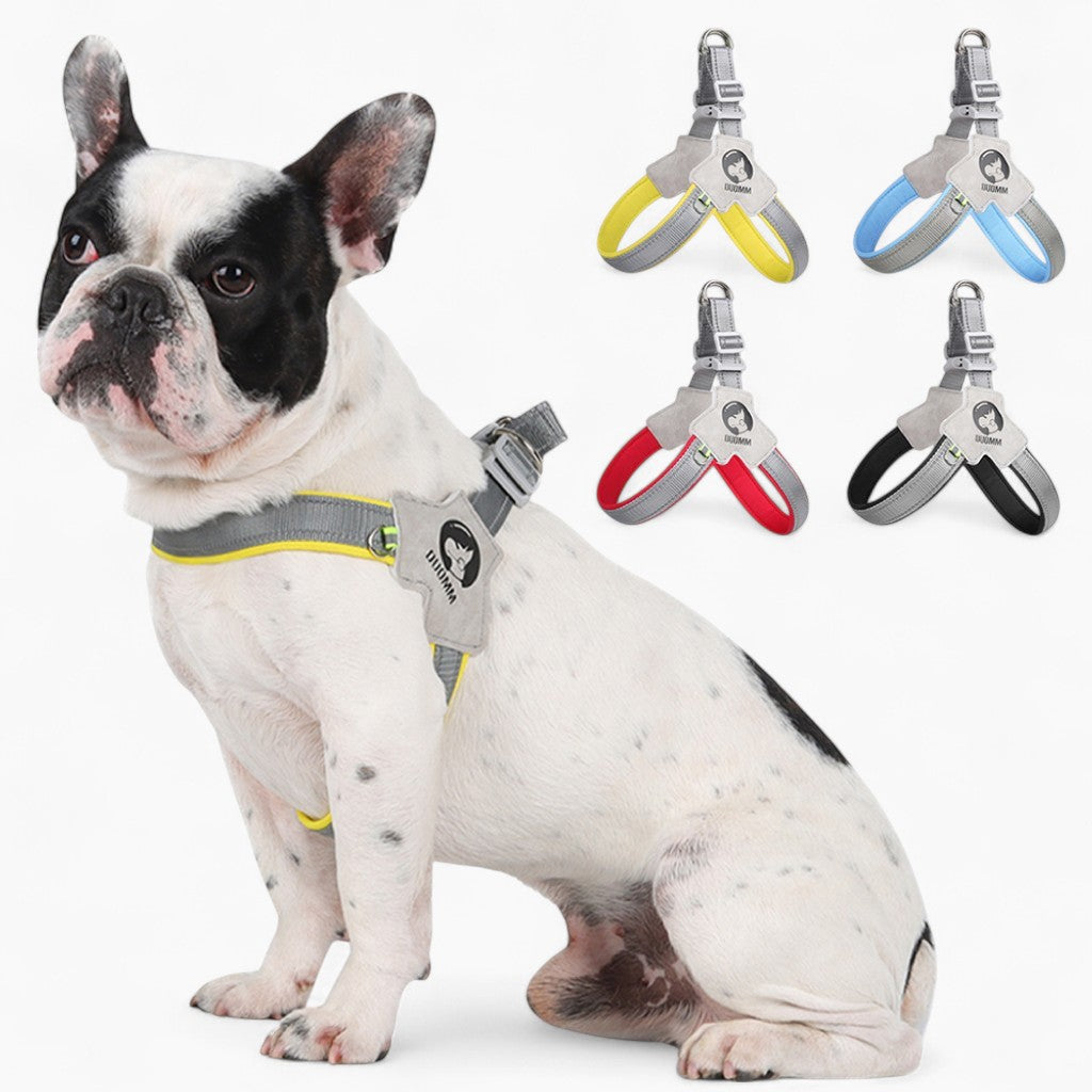frenchi harness Y shaped