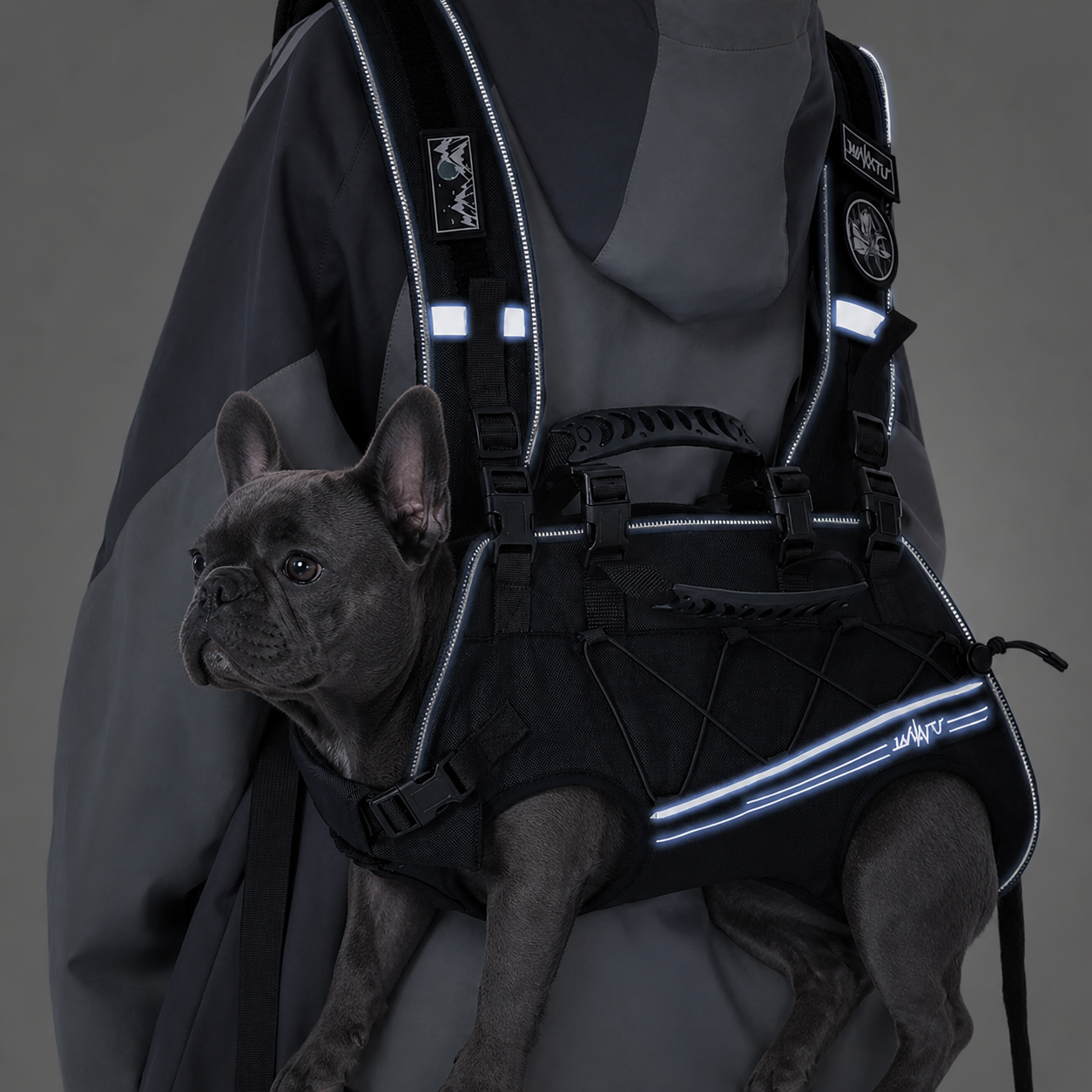 PawLift Frenchie Ergonomic Carrier Backpack – Hands-Free Front & Back Dog Carry Vest with Lumbar Support
