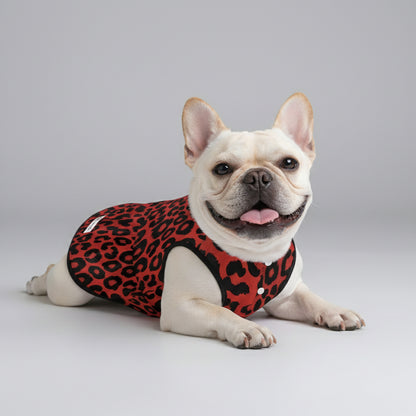 Layla  - French Bulldog Dresses for Females