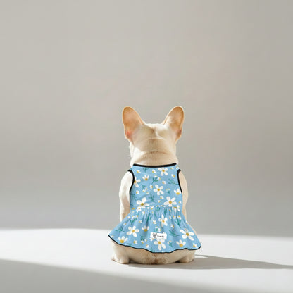 Kennedy - French Bulldog Dresses for Females
