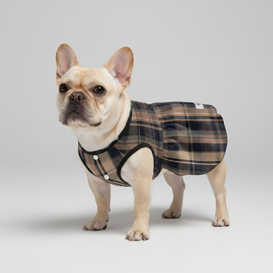 Ava - French Bulldog Dresses for Females