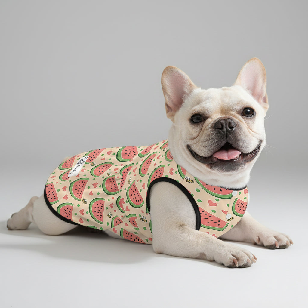 Leah  - French Bulldog Dresses for Females