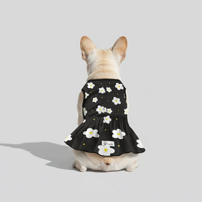 Coco - French Bulldog Dresses for Females