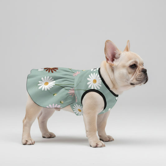 Autumn - French Bulldog Dresses for Females
