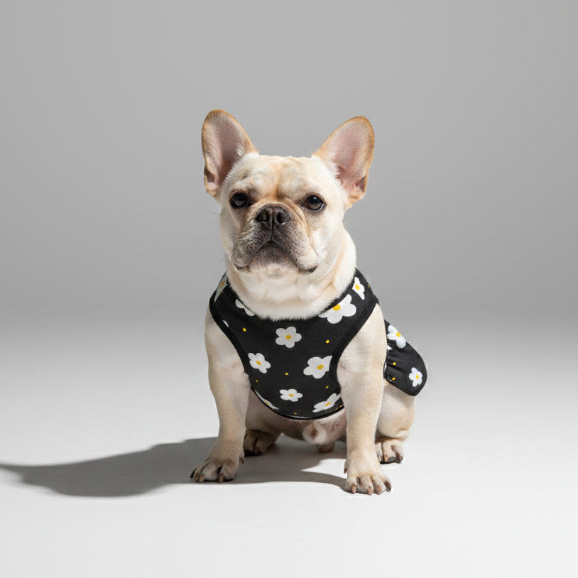 Coco - French Bulldog Dresses for Females