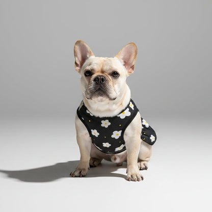 Coco - French Bulldog Dresses for Females