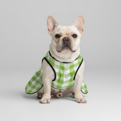 Lona   - French Bulldog Dresses for Females