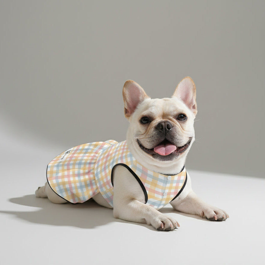 Bubble - French Bulldog Dresses for Females