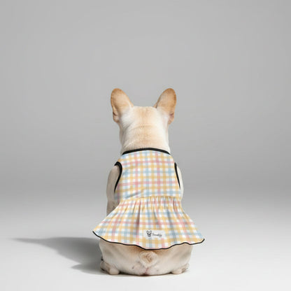 Bubble - French Bulldog Dresses for Females