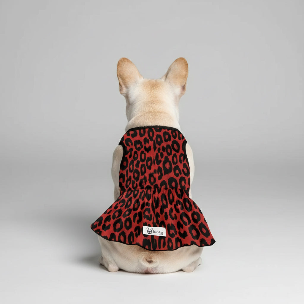 Layla  - French Bulldog Dresses for Females