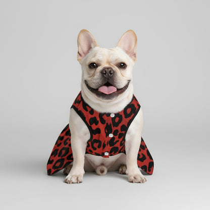 Layla  - French Bulldog Dresses for Females