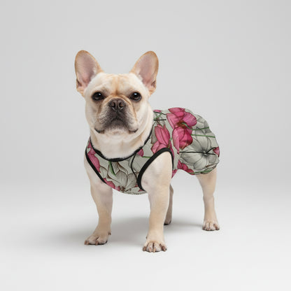 Sofia  - French Bulldog Dresses for Females