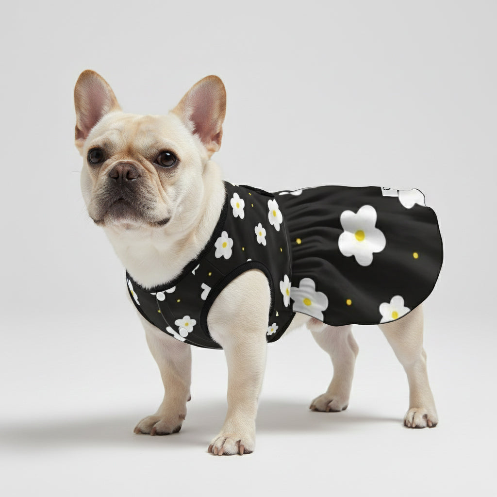 Coco - French Bulldog Dresses for Females