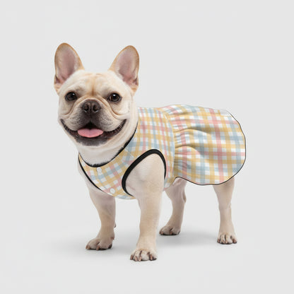 Bubble - French Bulldog Dresses for Females