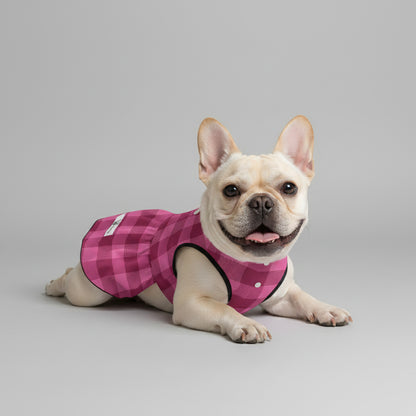 Giannaya - French Bulldog Dresses for Females