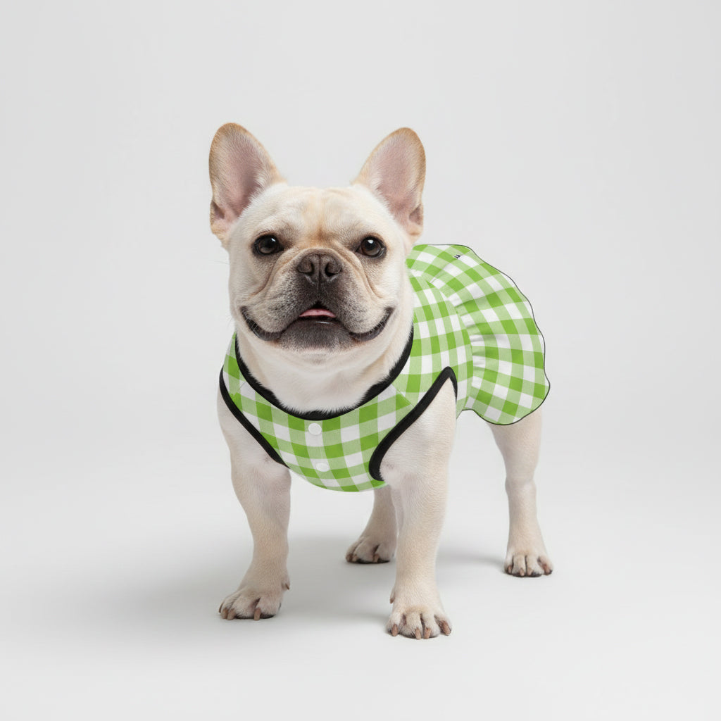 Lona   - French Bulldog Dresses for Females