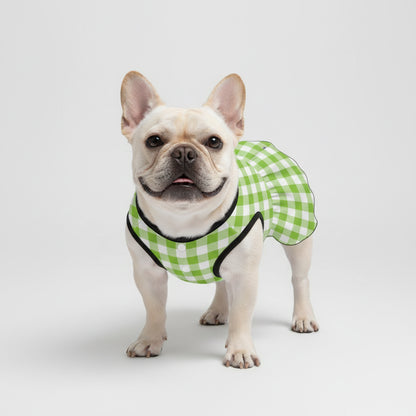 Lona   - French Bulldog Dresses for Females