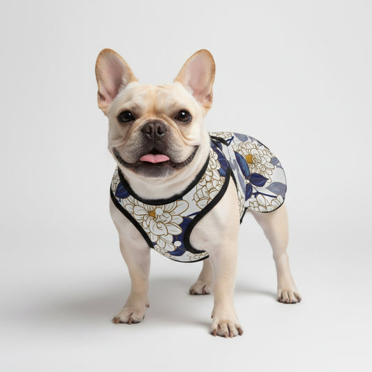 Millie - French Bulldog Dresses for Females