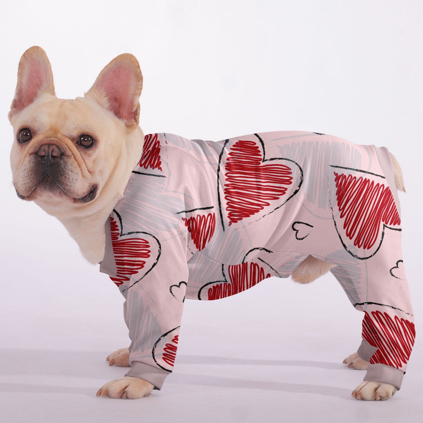Remi - Frenchie Pajama