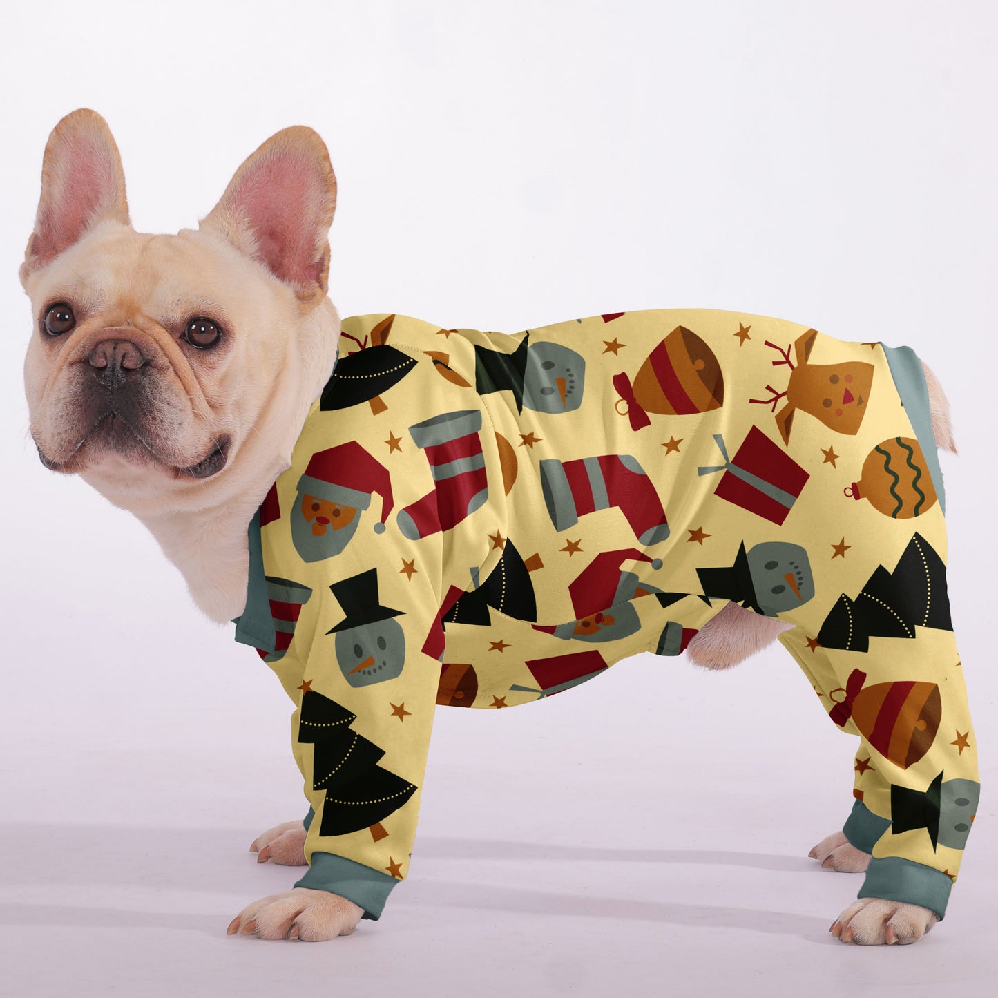 Christmas  - Matching Pajama Set for Frenchie Lovers