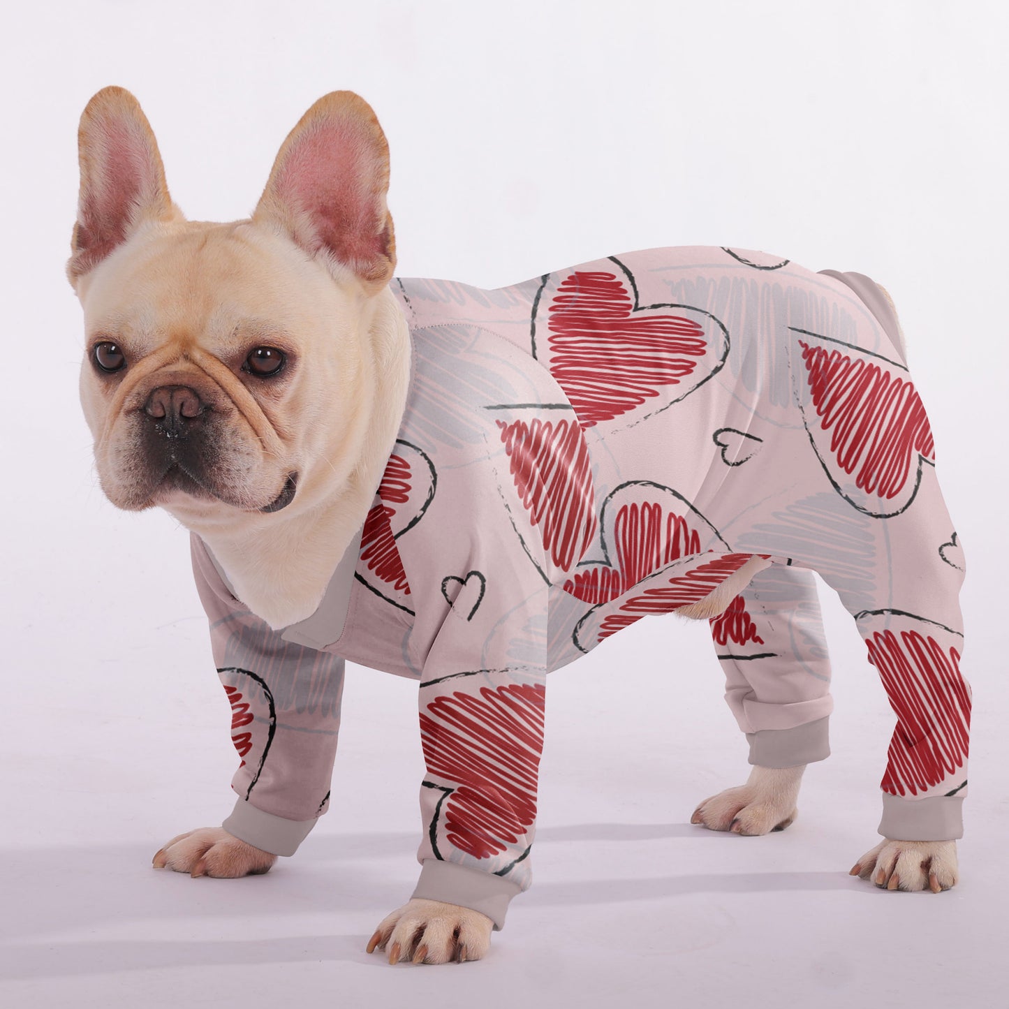 Remi - Frenchie Pajama