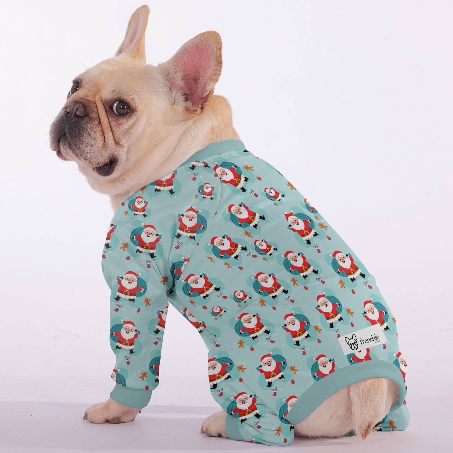 Milo - Frenchie Pajama