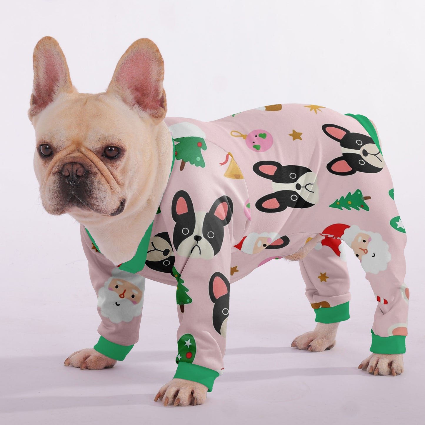 Rio - Frenchie Pajama
