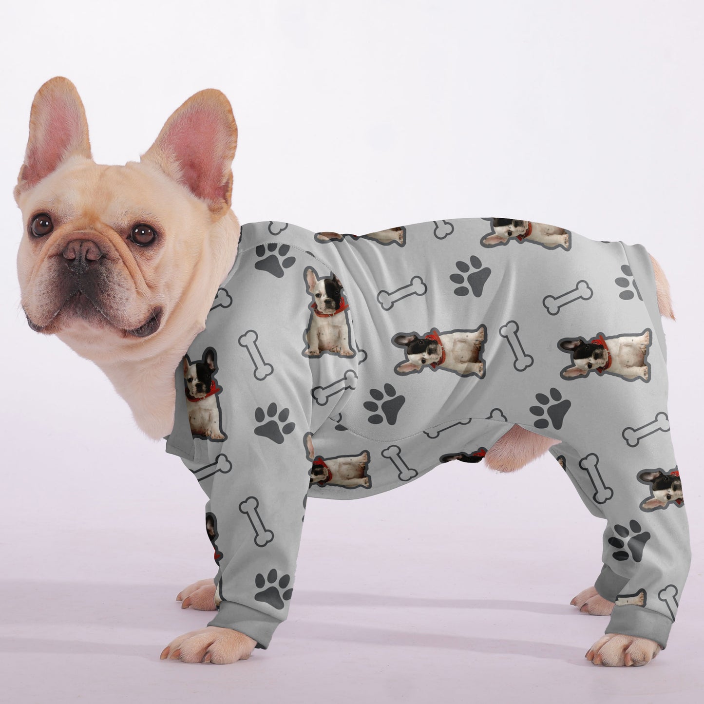 Enzo - Frenchie Pajama