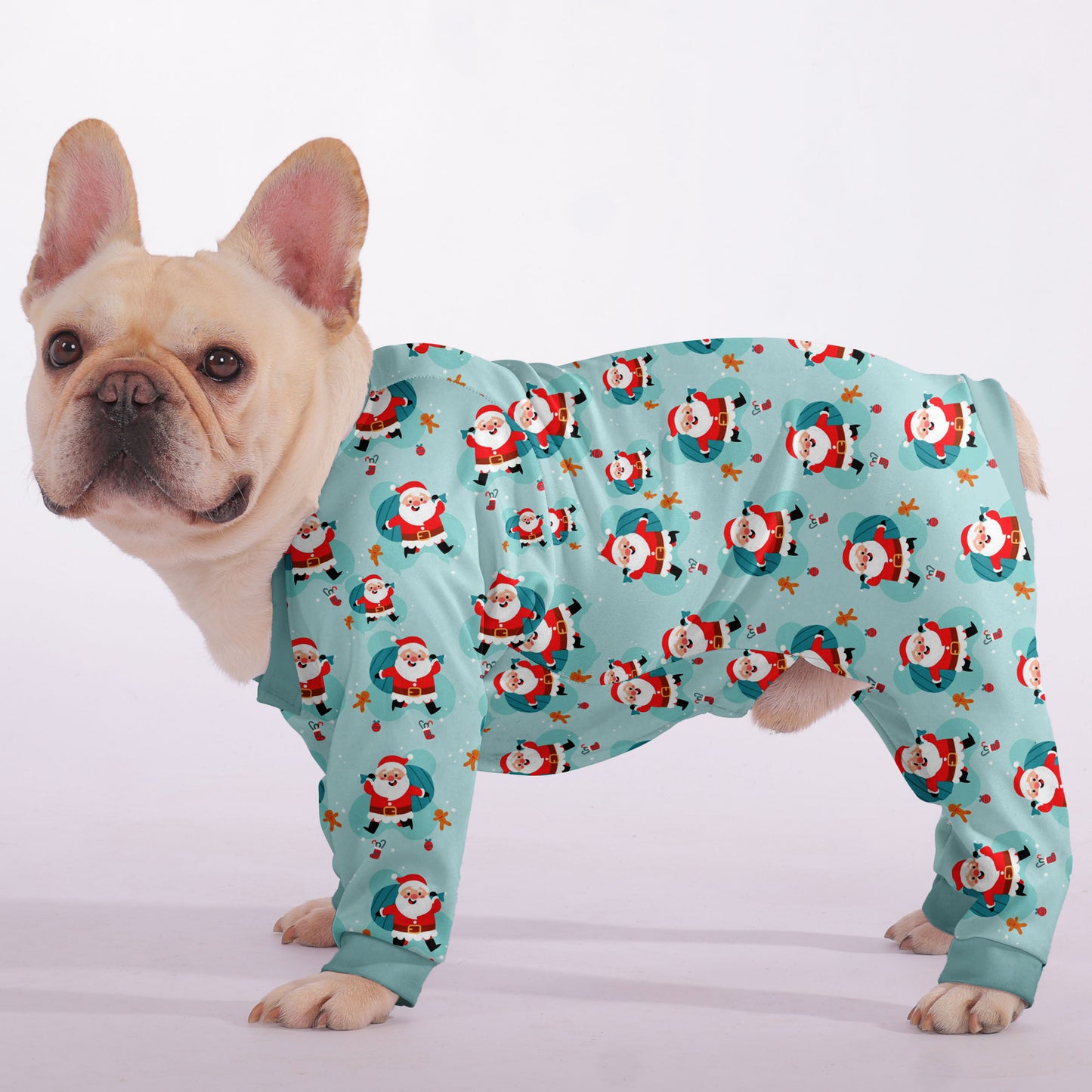 Milo - Frenchie Pajama