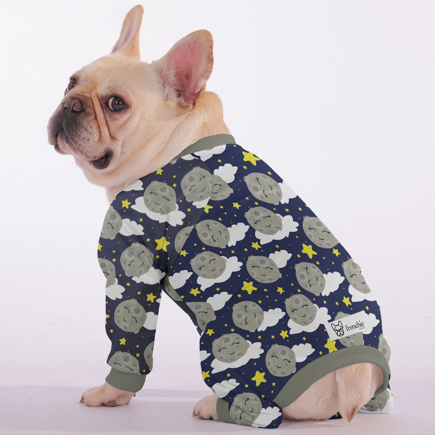 Finn - Frenchie Pajama