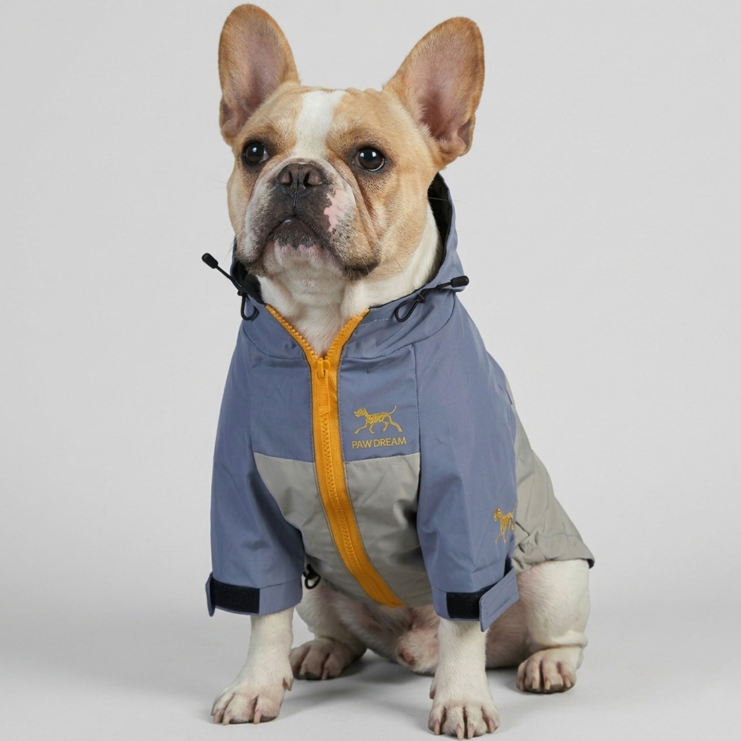 StormPaw Frenchie Windproof Raincoat – Soft Waterproof Hooded Dog Jacket