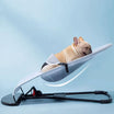 French Bulldog Rocking Chairfor Indoor & Outdoor Comfort