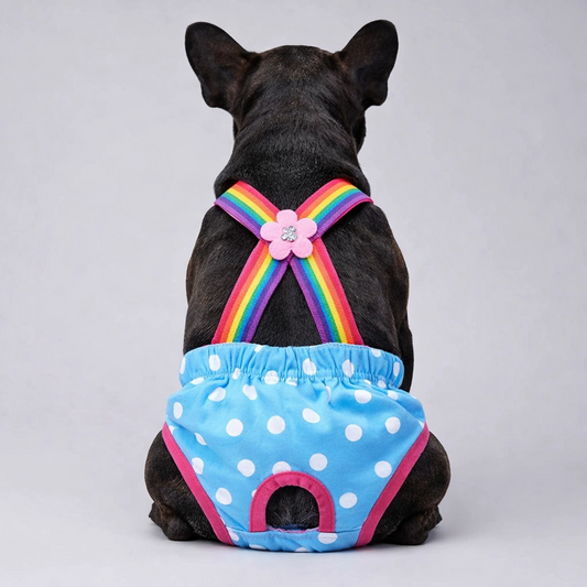 Eco-Friendly Washable Frenchie Diapers for Heat Cycles