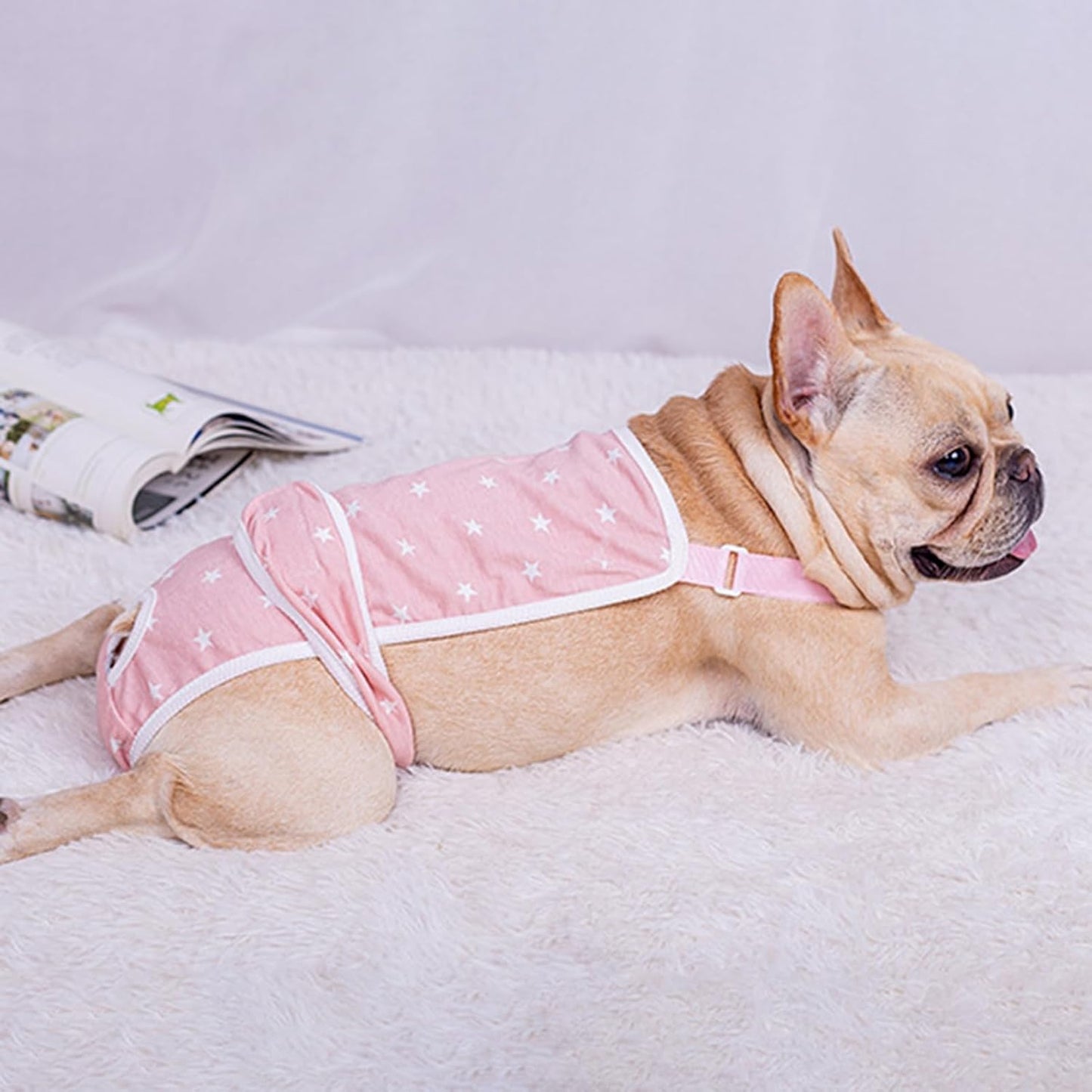 frenchie diaper pants