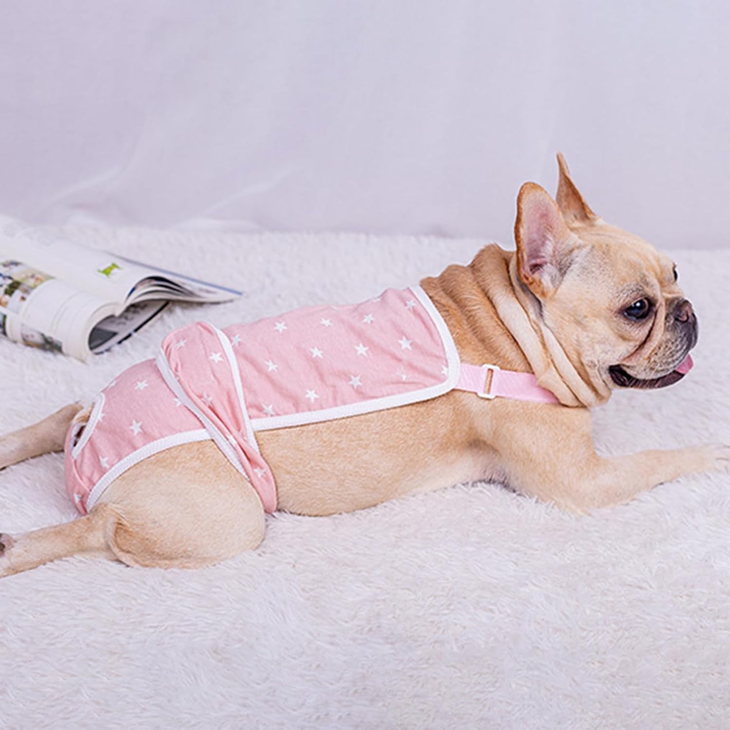 frenchie diaper pants