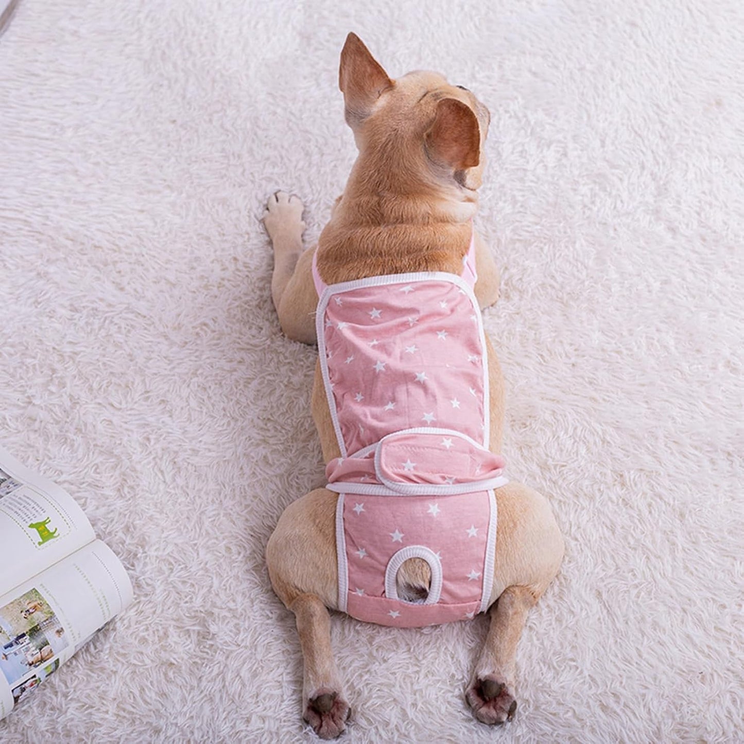 frenchie diapers