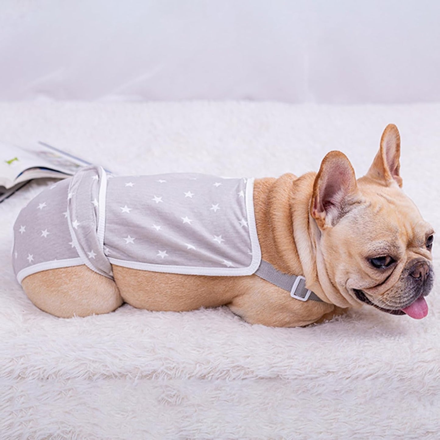 frenchie dog diapers