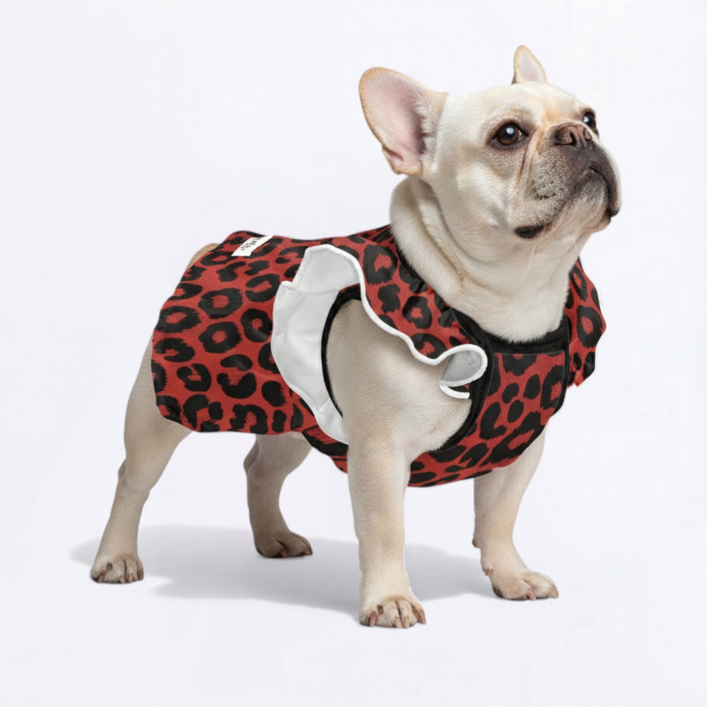Pearl - Adorable Dress for Frenchie Girls