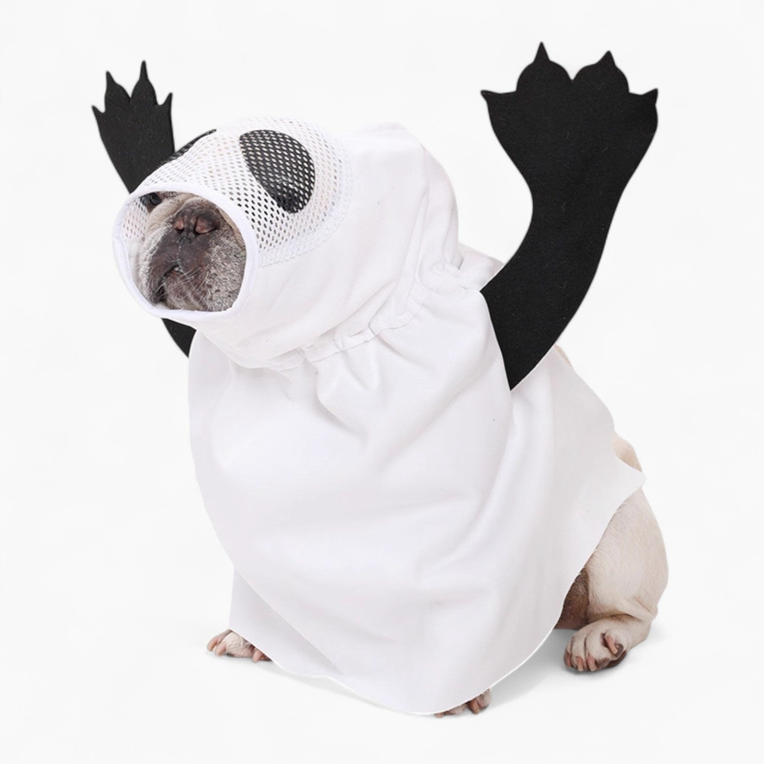 frenchie ghost costume